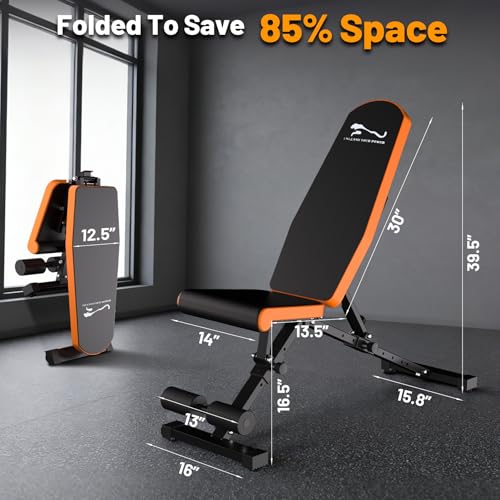 GarveeLife Adjustable Weight Bench, 800 LB Capacity Heavy Duty Workout Bench Press Decline/Flat/Incline for Home Gym Strength Training, Full Body Workout, Quick Fold Space Saving