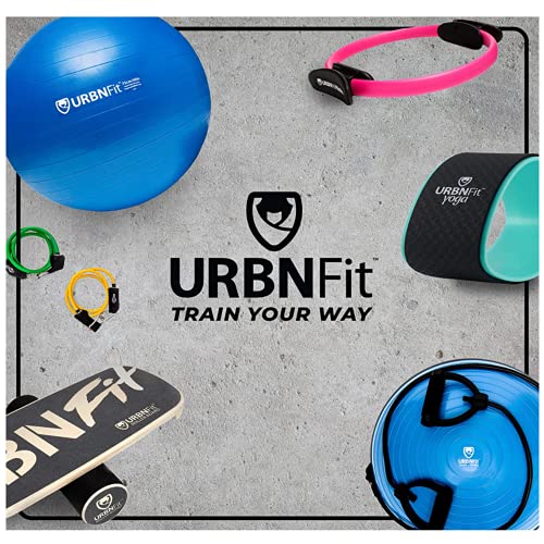 URBNFit Exercise Ball - Yoga Ball for Workout Pregnancy Stability - AntiBurst Swiss Balance Ball w/ Pump - Fitness Ball Chair for Office, Home Gym