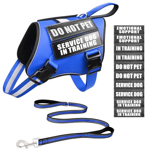 Service Dog Vest Harness and Leash Set+10 Patches,No Pull&Easy Walk Reflective Dog Harness with Soft Padded Handle for Training/Everyday,Fit Small/Medium/Large/Extra-Large Dogs (Blue M)