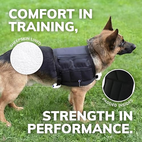 ActiveDogs Weighted Dog Vest with Weights - Dog Agility Training Equipment Jacket for Dog Exercise, Strength, Pulling & Endurance - Burn Calories & Build Muscle - Large 34-38 IN, 10 x 1LB
