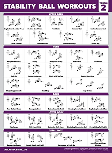 Palace Learning 2 Pack - Yoga Ball Workout Exercises Volume 1 & Volume 2 - Stability Ball Routine - Fitness Charts