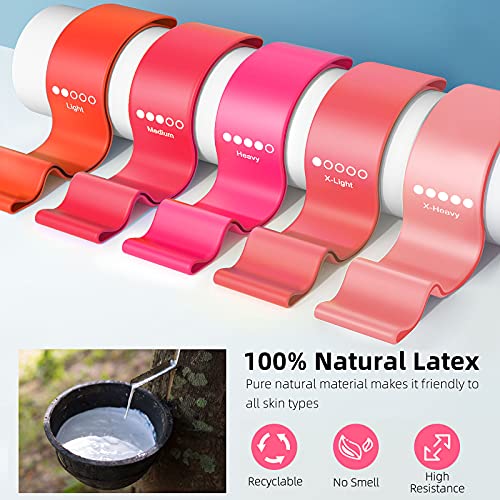 Bundle Set of 8 Resistance Bands for Workout, 3 Fabric Booty Bands and 5 Latex Exercise Bands with 2 Portable Bags