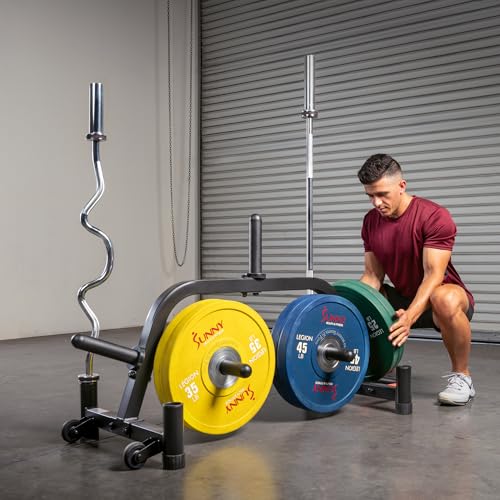 Sunny Health & Fitness Multi-Weight Storage Rack Stand for Dumbbells, Kettlebells, Olympic Weight Plates, Barbell, Medicine Ball - style: Plate & Barbell Rack