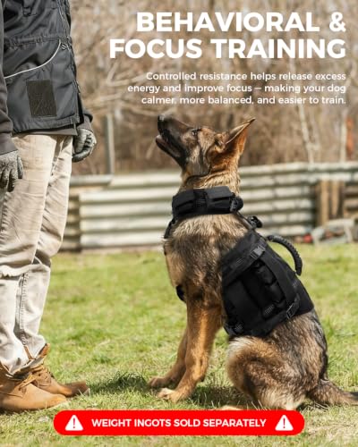 Adjustable Dog Weight Vest with Pockets for Exercise, L