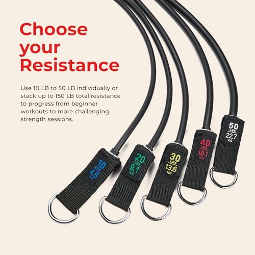 Sunny Health & Fitness Premium Resistance Band Set with Door Anchors, Wrist Straps, Handles Carry Bag Optional Padded Ankle Straps (Pair) for Strength Training, Booty Workout, Lower Body Exercises - style: NO. 089-COMBO