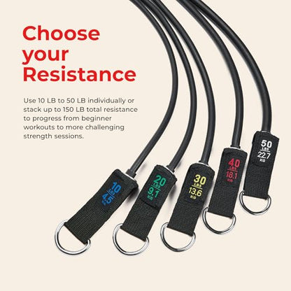 Sunny Health & Fitness Premium Resistance Band Set with Door Anchors, Wrist Straps, Handles Carry Bag Optional Padded Ankle Straps (Pair) for Strength Training, Booty Workout, Lower Body Exercises - style: NO. 089-COMBO