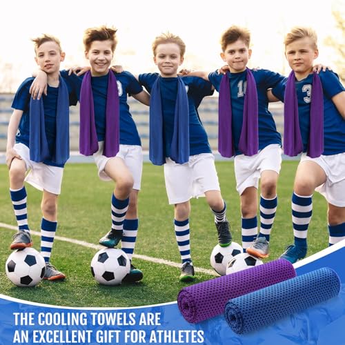 Hosuly 30 Pack Cooling Towels 40"x12" - color: Dark Blue, Purple
