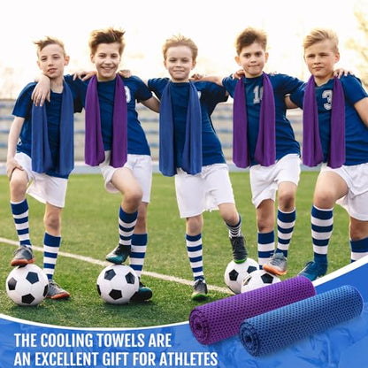 Hosuly 30 Pack Cooling Towels 40"x12" - color: Dark Blue, Purple