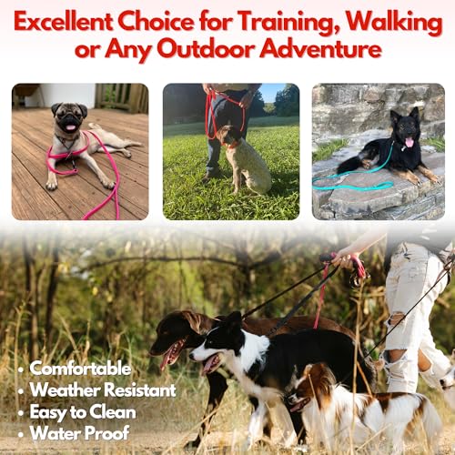 Gummy K9 Dog Leash, Biothane, Dog Training Leash, Made in The USA, 6 Feet, Various Sizes & Colors (1/2, Green)