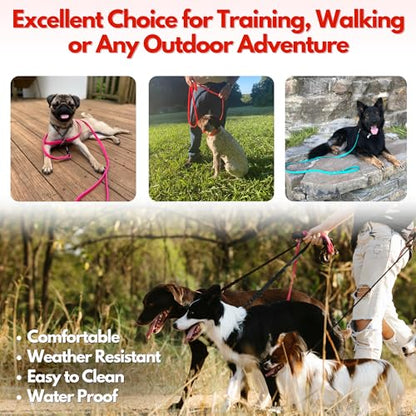 Gummy K9 Dog Leash, Biothane, Dog Training Leash, Made in The USA, 6 Feet, Various Sizes & Colors (1/2, Green)