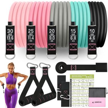 Resistance Bands for Working Out, Exercise Bands with Handles, Stretch Bands for Exercise, Workout Bands with Door Anchors for Physical Therapy & Strength Training