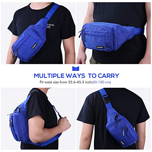 CXWMZY Fanny Packs For Women & Men Waist Pack Hip Bum Bag with Multi-Pockets Large Capacity Waterproof Casual Bum Bag for Disney Traveling Casual Cycling Running Hiking - color: Blue