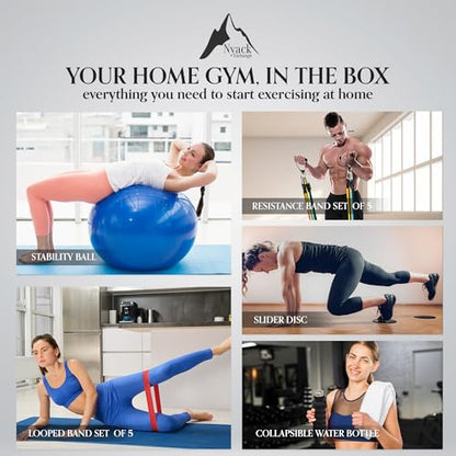 Home Workout Kit-Includes Resistance Bands, Exercise Balls with Pump, Core Sliders and Fitness Looped Bands for Physical Therapy Strength Training Full Body, Core Workouts by Nyack Exchange