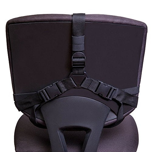 FOMI Firm Gel Foam Back Support (14" x 15") Care | Upper Lower Thoracic and Lumbar Support for Car, Home, Office Chair | Promotes Healthy Posture, Sciatica Pain Relief