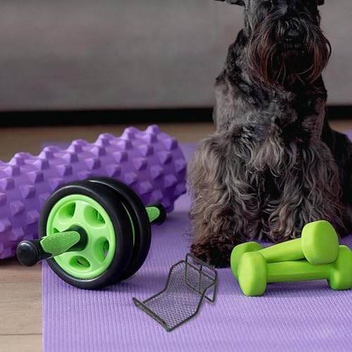 Wall-mounted Dumbbell Rack Black Steel Dumbbell Weight Stand for Home Gym Storage Organizer Compact Cradle for Training and Barbells