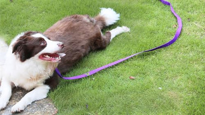 AMAGOOD Dog/Puppy Obedience Recall Training Agility Lead-15 ft 20 ft 30 ft 50 ft Long Leash-for Dog Training,Tie Out,Play,Safety,Camping (15Feet x 1Inch, Purple) - color: Purple, size: 1" x 15ft