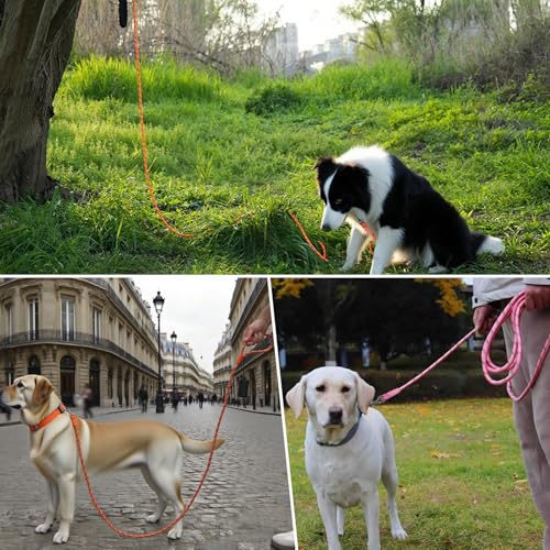 Long Dog Training Leash，Heavy Duty Reflective Rope Lead for Small Medium Large Dogs ，6FT 10FT 15FT 30FT 50FT for Training, Walking, Backyard, Camping