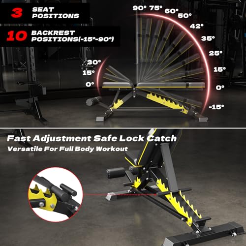 Heavy Duty Bench Adjustable Workout Bench Press Set for Home Gym Strength Training, Multi-Functional Roman Chair with Headrest, Max Load 1200 (DZ-025)