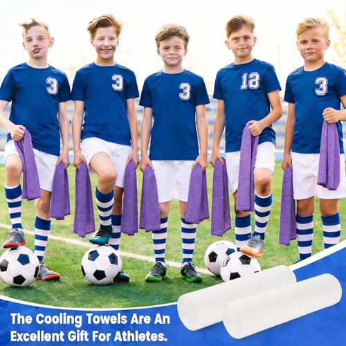QBrand 60 Pack Cooling Towels, 40"x12" Ice Breathable Chilly Sweat Rag Microfiber Workout Rags for Gym Towels for Neck and Face for Yoga Golf Sport Running (PP-60)