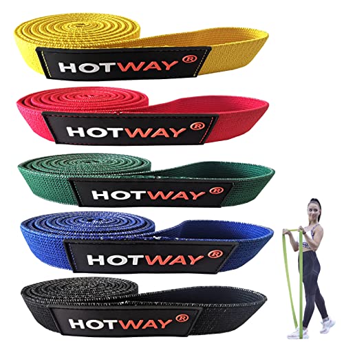 HOTWAY Long Resistance Bands Set, Fabric Pull Up Assistance Exercise Bands for Women, 5 Pack Thick Cloth Heavy Duty Stretch Bands for Full Body Workout & Weight Training - color: Color