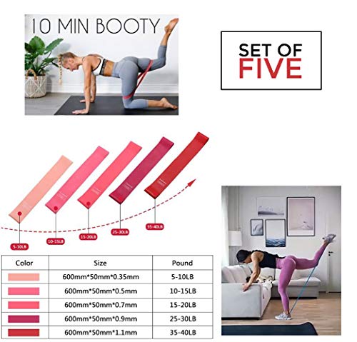 5 Pack Non Slip Resistance Booty Bands with Travel Carry Bag, Barre Exercise FlexBands for Legs and Butt, Home Workout Fitness, Squats, Stretching, Gym, Yoga, Physical Therapy, Pilates for Women
