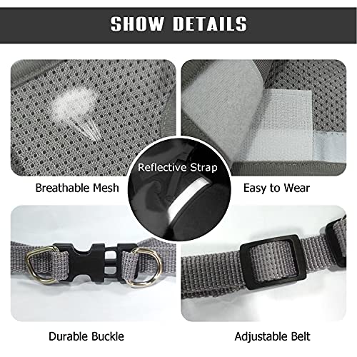 Dog Harness and Leash Set for Walking, Soft Mesh Adjustable Easy Control Lightweight Cat Vest Harnesses with Reflective Strips, Escape Proof Small Dogs Cats Vests