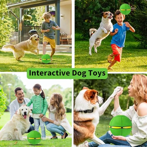Magic Bouncing Ball, Magic Meta - Ball, Children's Magic Bouncing Balls, Doggy Disc Ball, Flying Saucer Ball, Parent-Child Interaction with Lights for Indoor & Outdoor Play Green and Blue - color: Green