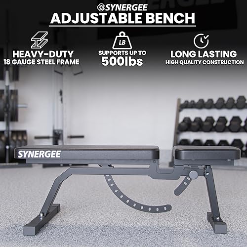 Synergee Adjustable Incline Workout Bench. Weight Bench for Dumbbell & Barbell Press Exercises & Workouts. Great for Commercial, Garage and Home Gym.