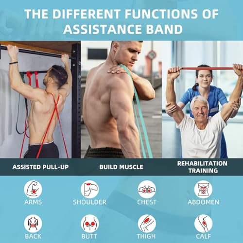 Resistance Bands, Pull Up Bands, Pull Up Assist Band Exercise Bands for Men & Women Working Out, Body Stretching, Physical Therapy, Muscle Training
