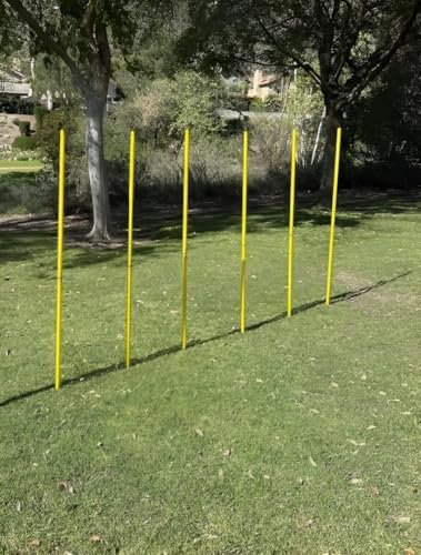 BlueDot Trading Soccer Agility Poles | Telescopic, Fixed & Collapsible Options (4, 6, 8 Piece Sets) Speed Training Poles for Agility Drills, Outdoor Games, Football & Sport Training Equipment - size: 6, style: Collapsible