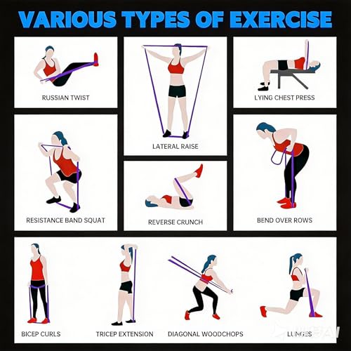 Resistance Bands, 5 Levels Exercise Bands for Men Women, Upgraded Tear Resistant Workout Band with Door Anchor,Body Stretching,Physical Therapy,Muscle Training, Pull Up Assistance Band for Working Out