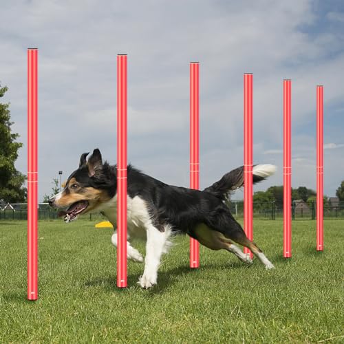 Agility Training Poles Equipment Soccer Training Equipment Includes 6 Agility Poles,Agility Ladder, 10 Soccer Cones,Jump Rope for Speed Training, Soccer Training, Basketball Athletes & Kids