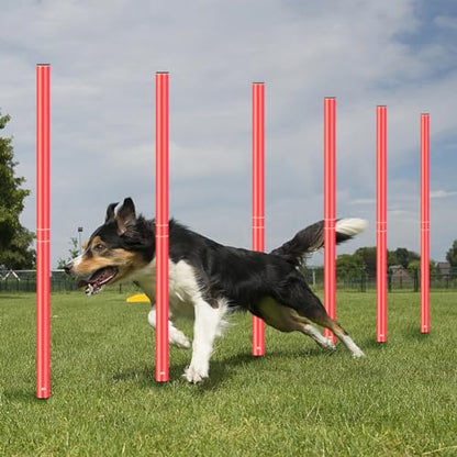 HOTOOLME Agility Training Poles Equipment Soccer Training Equipment Includes 6 Agility Poles,Agility Ladder, 10 Soccer Cones,Jump Rope for Speed Training, Soccer Training, Basketball Athletes & Kids - color: Orange