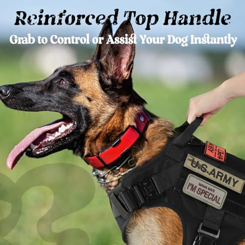 rabbitgoo Tactical Dog Harness for Small, Heavy Duty Military No Pull Vest - color: Black, size: Small