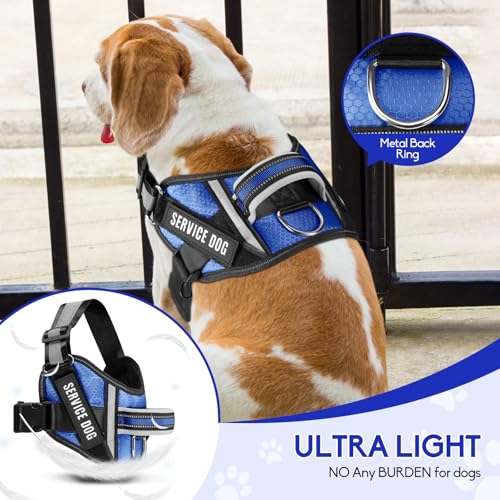 Service Dog Vest Harness and Leash Set, Animire in Training Dog Harness with 10 Dog Patches, Reflective Dog Leash with Soft Padded Handle for Small, Medium, Large, and Extra-Large Dogs