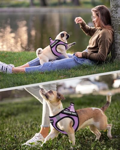 Service Dog Vest for Small Breed - Lightweight Dog Harness with 6PCS Removable Patches - Puppy Harness and Leash Set for Walking,Training