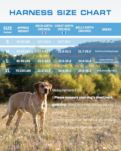 Dog Harness for Large Dogs Heavy Duty, No Pull Tactical Dog Harness with Molle System, Easy On and Off Service Dog Vest, Breathable Padded, Adjustable Reflective Pet Vest for Walking Hiking Training