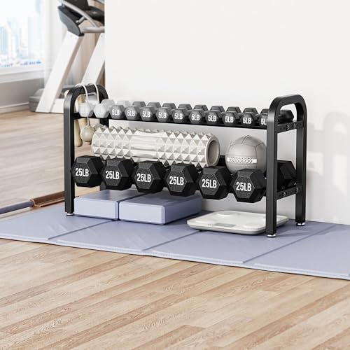 2 Tier Dumbbell Rack, Weight Rack for Home Gym, 300 lb Capacity