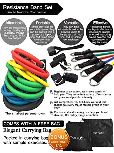 TheFitLife Resistance Bands Set for Women & Beginners – Home Workout Equipment with Handles, Door Anchor & Ankle Straps, Exercise Bands for Rehab, Yoga & Fitness