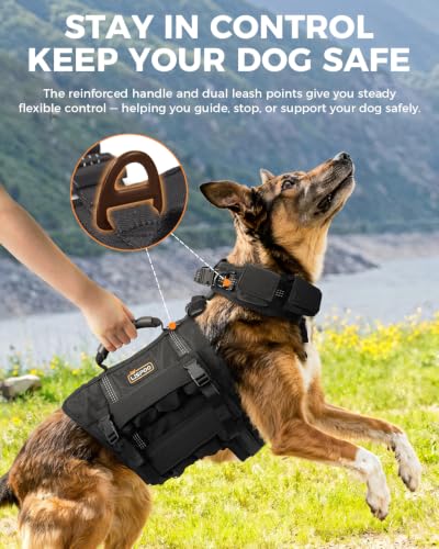 Adjustable Dog Weight Vest with Pockets for Exercise, L