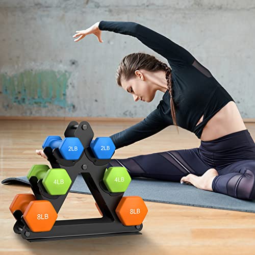 Dumbbell Rack Stand Only | Space-Saving Weight Rack for Home Gym, Hand Weight Rack Dumbbell Storage for Dumbbell Set (3-15 LB), Durable Metal Stand with Easy Assembly (Dumbell not Included) - color: Metal Rack-3 Tier