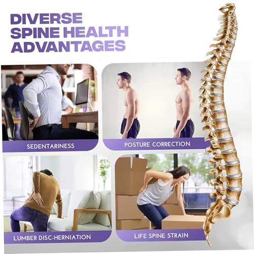 Back Cracker 4-Level Adjustable Back Stretch with Acupressure Massage Correction Spine Decompression Lumbar Support for Scoliosis Pain Relief