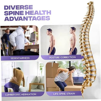 Back Cracker 4-Level Adjustable Back Stretch with Acupressure Massage Correction Spine Decompression Lumbar Support for Scoliosis Pain Relief