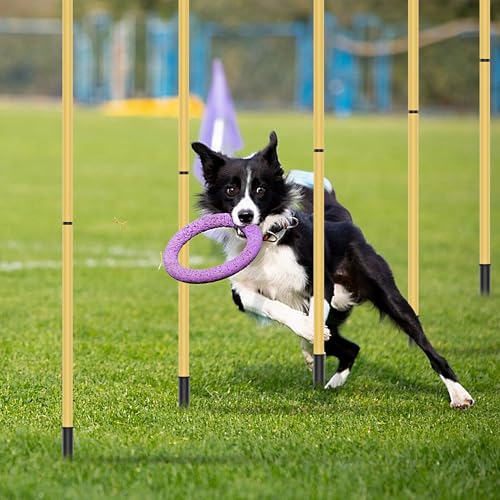 Dog Agility Training Hurdle Cone Set, Adjustable Dog Agility Equipment Obstacle Course Backyard Equipment for Pet Exercise - size: Hurdle Cone 5 Set With Nails