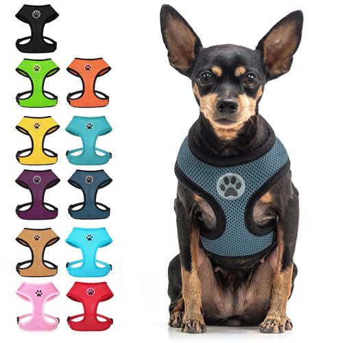 BINGPET Small Dog Harness, No Pull Step-in Puppy Pet Vest, Blue - color: Navy Blue, size: XS (NECK: 10", CHEST: 10"-14")