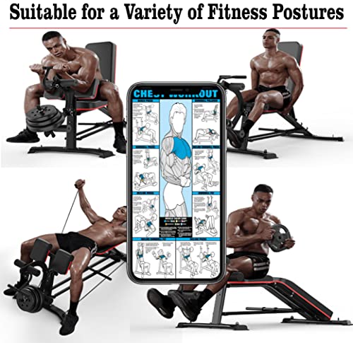Utility Weight Bench with Leg Extension - Multi-Position Adjustable Bench for Strength Training, Dumbbell Exercise and Ab Workouts