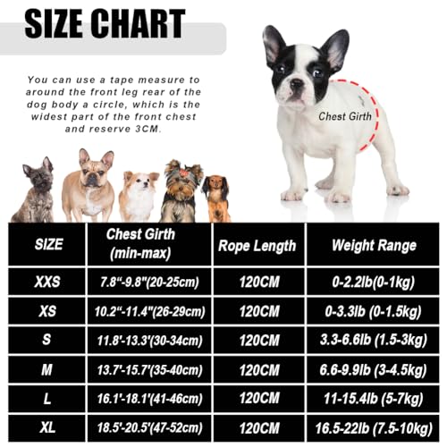 Dog Harness and Leash Set for Walking, Soft Mesh Adjustable Easy Control Lightweight Cat Vest Harnesses with Reflective Strips, Escape Proof Small Dogs Cats Vests