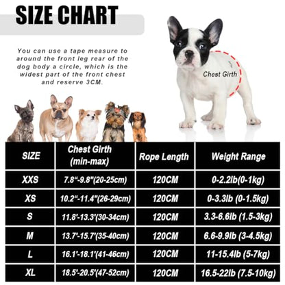 Dog Harness and Leash Set for Walking, Soft Mesh Adjustable Easy Control Lightweight Cat Vest Harnesses with Reflective Strips, Escape Proof Small Dogs Cats Vests