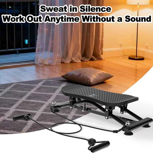 Indoor Ski Simulator with Resistance Bands Full Body Ski Machine for Home Gym Core Trainer Balance Board with Non-Slip Base Black