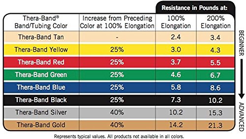 THERABAND Resistance Tubing with Soft Handles, Silver, Super Heavy Level, 50" Latex Stretch Resistance Bands for Exercise, Professional Workout Bands for Upper & Lower Body, Color-Coded Levels